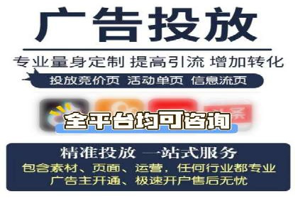 某公司信息流广告的精准投放与效果评估
